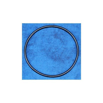 Big Blue housing O Ring - Big Blue housing O Ring - PSI Water Filters Australia