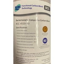 Siamcast silver impregnated coconut carbon 20 BB - Siamcast silver impregnated coconut carbon 20 BB - PSI Water Filters Australia